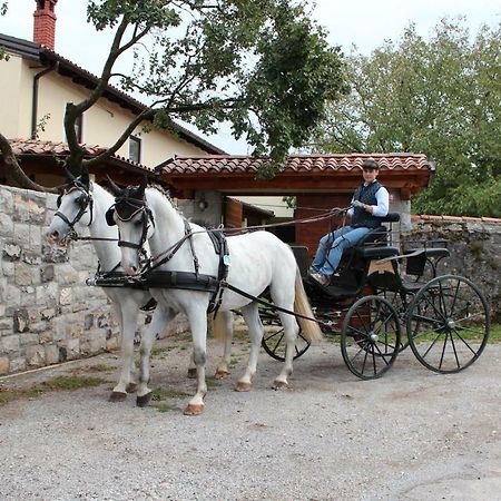 Country House Lokev Vendégház Kültér fotó