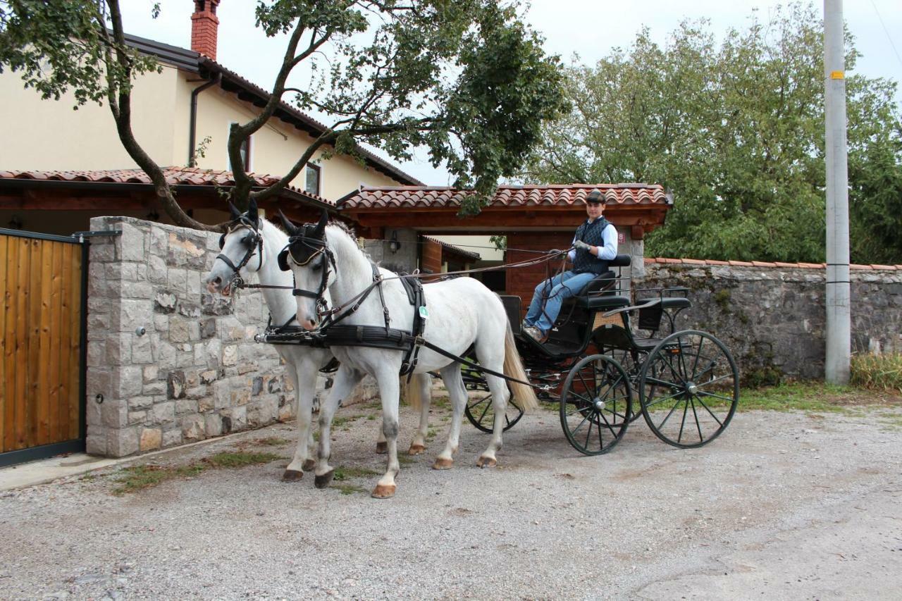 Country House Lokev Vendégház Kültér fotó